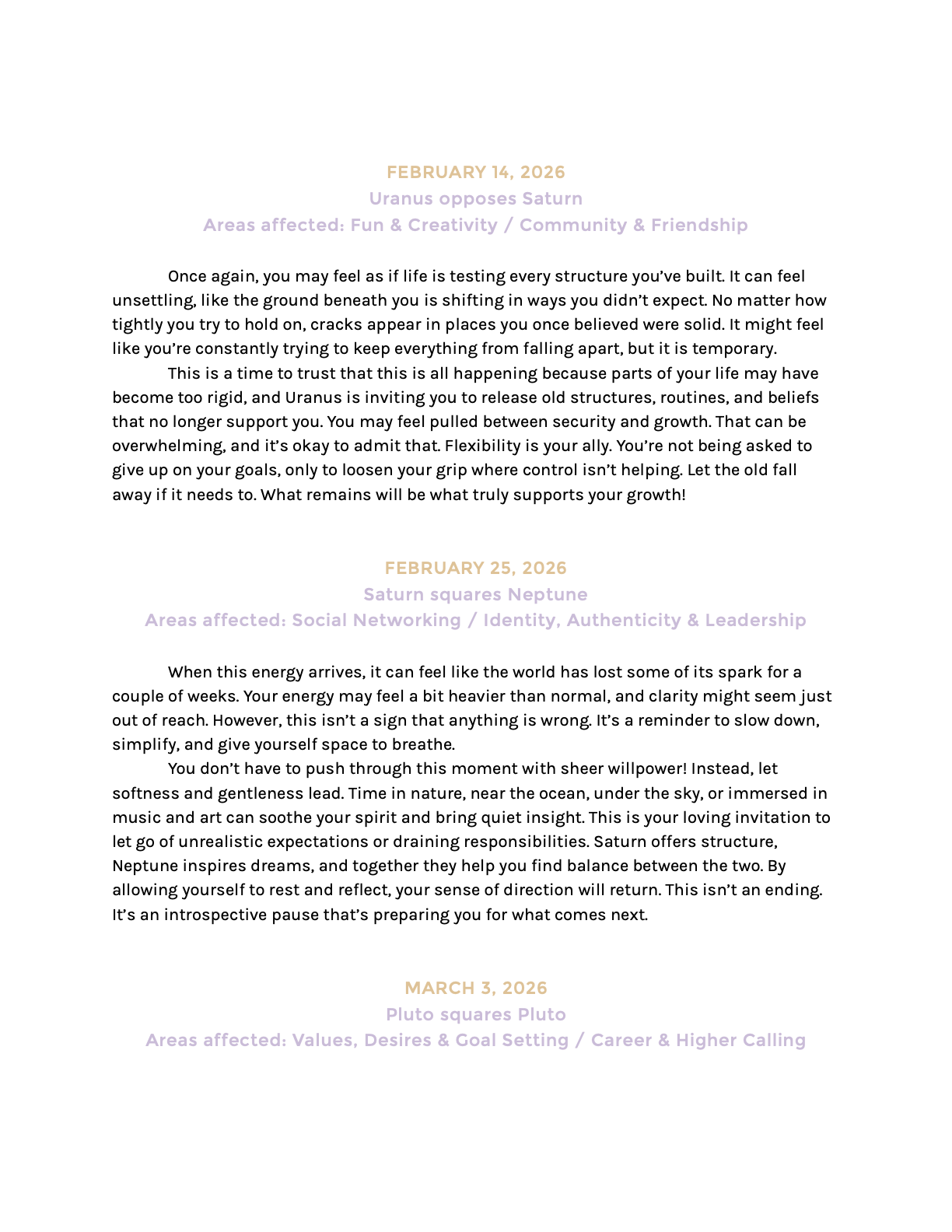 YF Premium Template SAMPLE.12