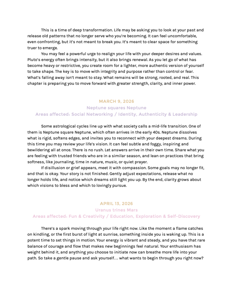 YF Premium Template SAMPLE.13