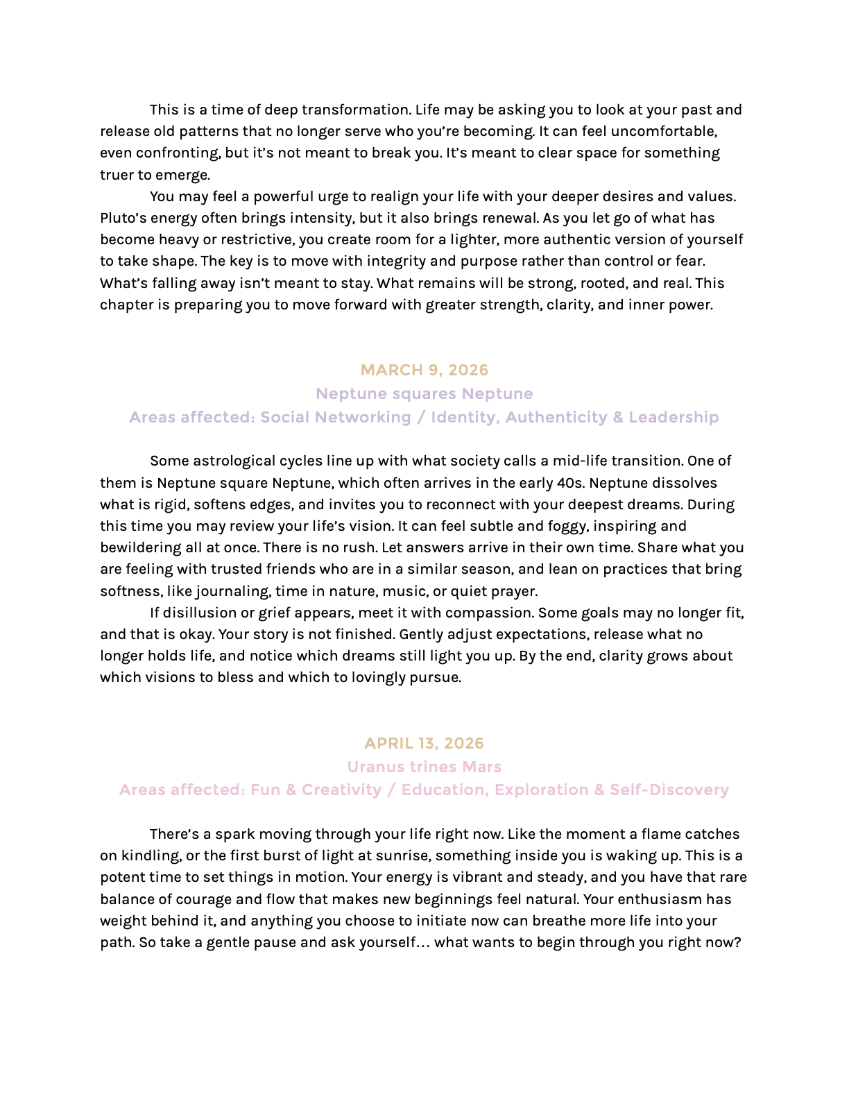 YF Premium Template SAMPLE.13