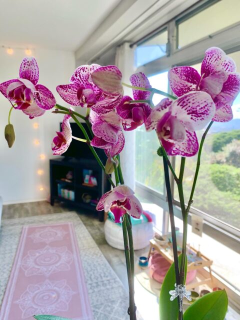 How to receive your next moves in your business…

Slow down, turn your attention away from it, and focus on doing what feels good. 💗

I take a lot of breaks in my day to check in with myself. What do I need? What do I feel stressed about? What do I feel driven by?

What urges am I feeling… and are they inspired by love or fear? If it’s fear, why is it there? How can I untangle it?

There are soooo many practices I do each day to prioritize my energetic alignment above anything and everything else. And it makes a world of difference to what I’m able to create! ✨

It’s funny, but yoga poses really can inspire new offerings. Naps can inspire social media posts. 
Meditations can inspire an entire new book series! 

And journaling releases all of the fears & self-doubt that would keep it all from happening.

My #1 strategy in my business these days is to slow down, take lots of breaks, and follow my heart - notice what feels heavy and what feels fun, and always follow the fun… or at least whatever brings the biggest feeling of RELIEF. 🪷

What is your biggest biz strategy lately?

#spiritualentrepreneurs #lightworkersofinstagram #higherself #divinefemininerising