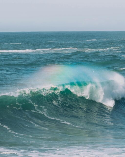 A little update on what I’ll be sharing here… 🌊✨

For a long time, Divine Flow was focused almost entirely on books, writing, and publishing.

Those things are still part of my world, but lately I’ve been allowing more of my spiritual and creative work to come forward too, including astrology, meditation, energy healing, intuition, and the practices that help us feel more aligned in our everyday lives. 🪷

One of the main ways I’m bringing all of that together is through the Weekly Flow!

The Weekly Flow is my weekly energetic drop-in to help you begin the week feeling more centered, clear, and connected to yourself.

I created it because it is SO easy to enter a new week already thinking about what needs to be done, what everyone else needs from you, and how quickly you need to make everything happen… 📝

Each episode includes a look at the astrology of the week, an oracle card message, and a guided meditation to help you tune into your own energy and inner guidance.

The Weekly Flow gives you space to pause and ask:
• How do I actually FEEL? What kind of energy am I working with right now?
• What do I NEED? What would help me feel more supported?
• What am I genuinely being guided to create or do next?

Simply arrive as you are, take what resonates, and give yourself a little space to reconnect before the week takes off. 🧘🏻‍♀️

You can watch the Weekly Flow every Sunday live on Substack or subscribe to get the recording in your inbox. ♡

divineflowco.substack.com