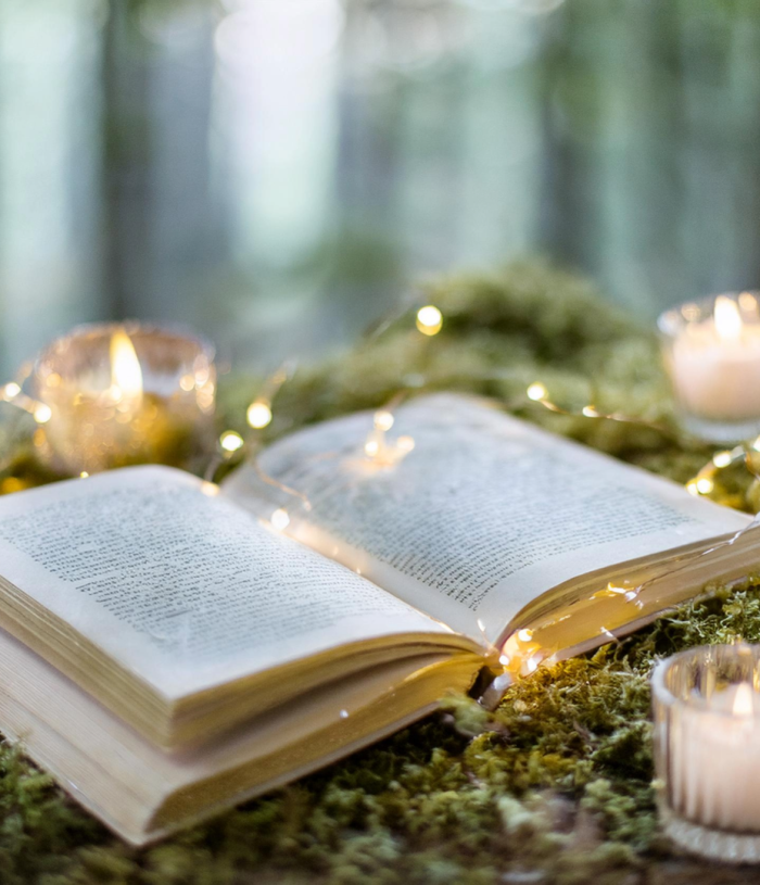 Untitled-9 - 2024-11-05T231724.024